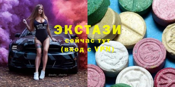 ECSTASY Богородск