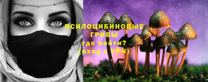 Псилоцибиновые грибы Psilocybine cubensis  цена   hydra ссылка  Лабытнанги 